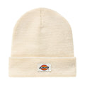 Dickies Gorro Gibsland