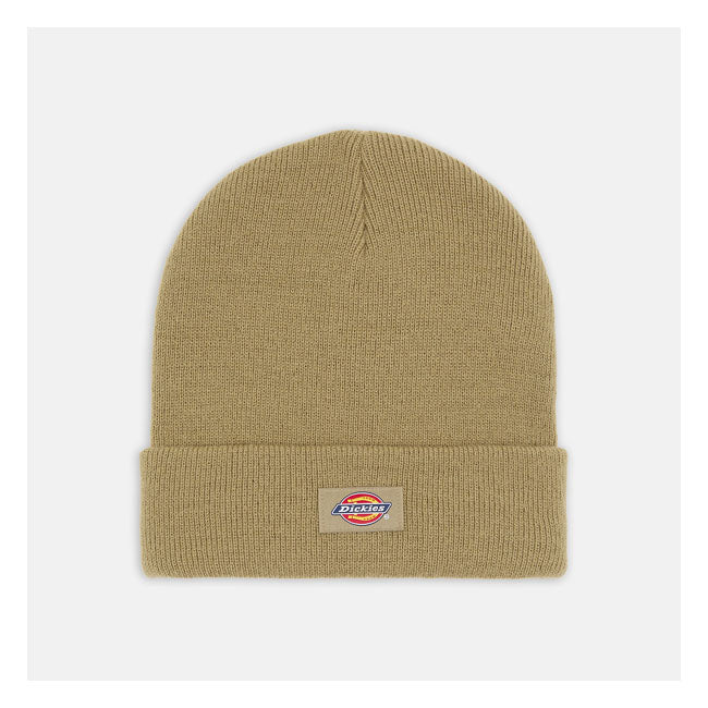 Dickies Gorro Gibsland