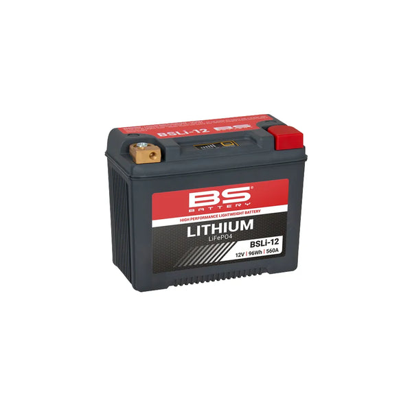 BS Battery High Performance Lithium LiFePO4 Motorcycle Battery for Harley 97-24 Touring (BSLI12 / YTX30L-B, 8AH, 560CCA)