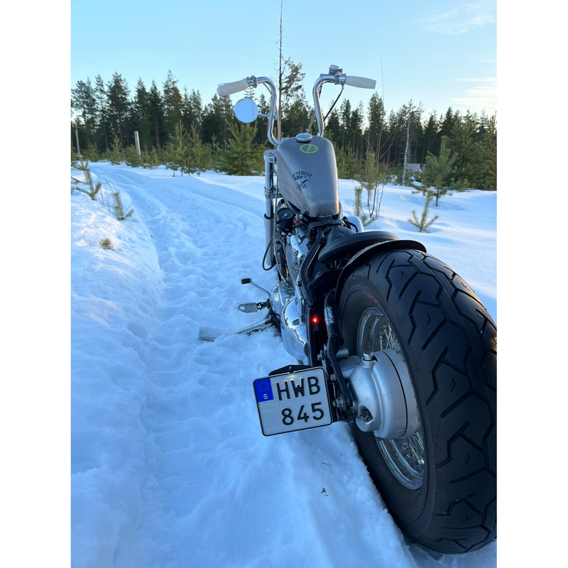 SMP M8 Mini LED Motorcycle License Plate Light Bolt  - Customhoj