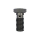 TRW Banjo Bolt M10 x 1.0 x 23mm (Standard) / Titanium